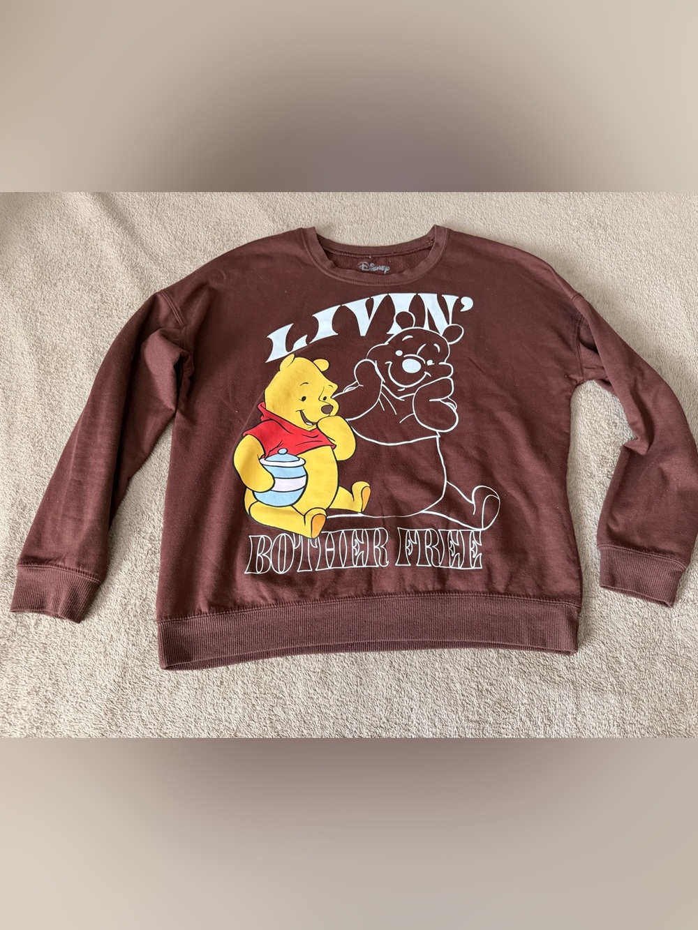 Disney Brown Winnie the Pooh Sweatshirt